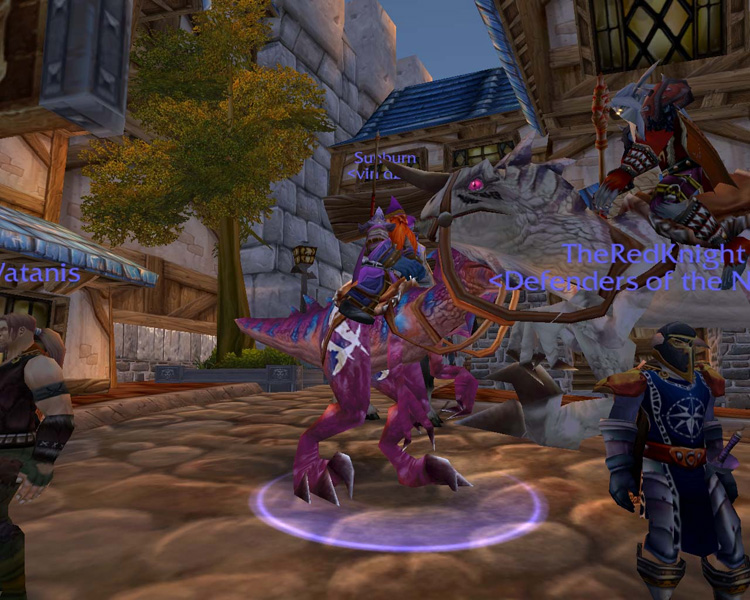 world of warcraft night elf mount. Mage and a Night Elf Rogue